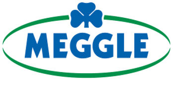 Meggel