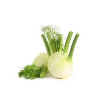 اسانس مایع رازیانه حلال در روغن