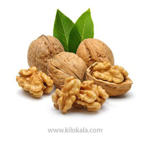 اسانس مایع گردو